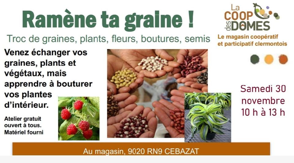 May be an image of strawberry and text that says 'Ramène ta graine! Troc de graines, plants, fleurs, boutures, semis Venez échanger vos graines, plants et végétaux, mais apprendre à bouturer vos plantes d'intérieur. La COOP ODOMES Le magasin coopératif et participatif clermontois Atelier gratuit ouvert tous. Matériel fourni Samedi 30 novembre 10 h à 10hà13h 13 h Au magasin, Aumagasin,9020RN9CEBAZAT 9020 RN9 CEBAZAT'